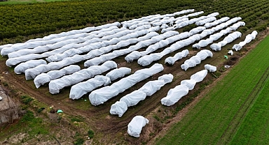 Adana’da Çiftçiden Zirai Dona Karşı Örnek Önlem