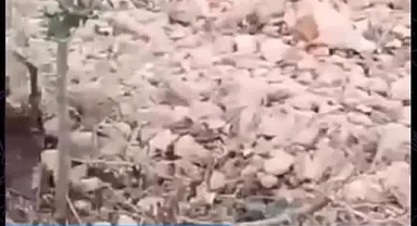 Ayn el-Arab’da Dehşet: YPG/SDG Sivilleri Katledip Saydı