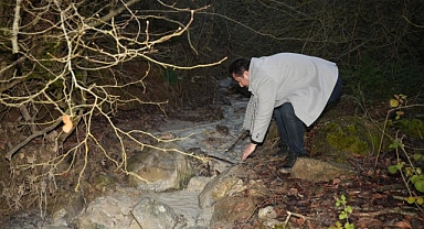 Bursa'da çevre felaketi