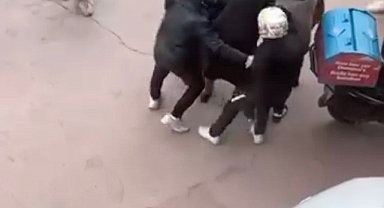 Bursa'da lodosa yakalanan yaşlı kadına kuryeler siper oldu