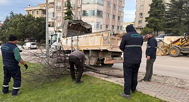 Bursa'da Şiddetli Lodos Ağaçları Devirdi
