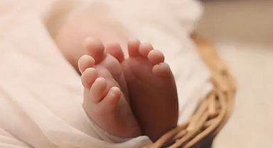 Türkiye’de Doğum Oranları Alarm Veriyor