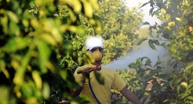 Zirai İlaçlarda Reçeteli Dönem