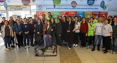 Bursa'da Can Dostlara Sıcak Yuva