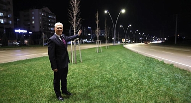 Çalı Yolu Aydınlatma Çalışmalarıyla Modern ve Güvenli Hale Getirildi