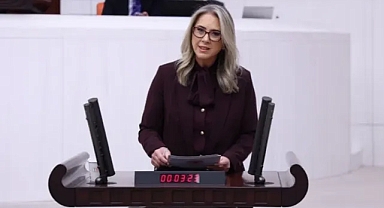 Ceyda Bölünmez Çankırı ile Mahmut Tanal Arasında Meclis’te Sert Tartışma