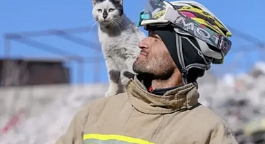 Enkazdan çıkardığı 'Enkaz' kediyi hala yanından ayırmıyor