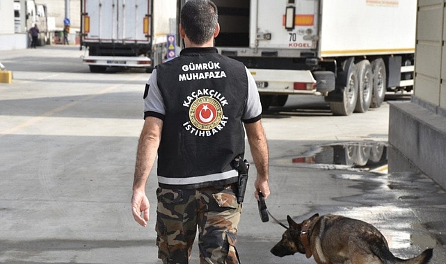 Ticaret Bakanlığı Hayvan Kaçakçılığına Geçit Vermedi: 32,5 Milyon TL’lik Girişim Engellendi