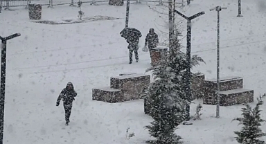 Van'da Kar Yağışı 40 Yerleşim Yerini Ulaşıma Kapattı