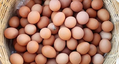 Yumurta Satışında Yeni Düzenleme