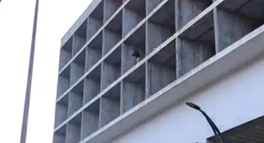 Ceza kesilen sürücü, inşaatın çatısına çıktı