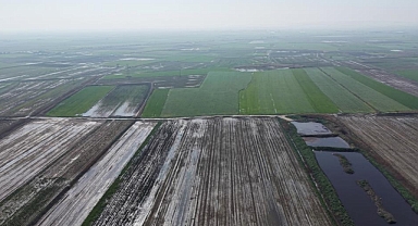 Karacabey’de Tarım Arazileri Sular Altında Kaldı