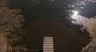 Karacabey Longozu Son Yağışlarla Yeniden Suya Kavuştu