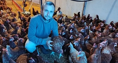 Köyüne Dönerek Gezen Tavuk Çiftliği Kurdu