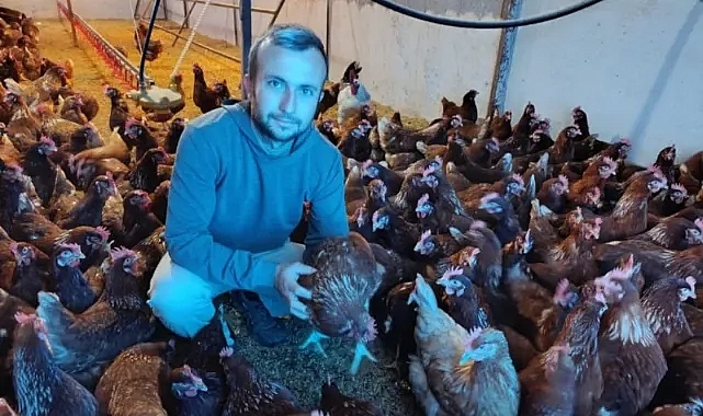 Köyüne Dönerek Gezen Tavuk Çiftliği Kurdu