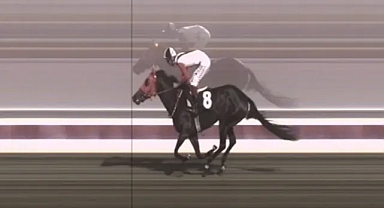 Mersin Aşevinde Kavurmada Yarış Atı Eti Tespit Edildi 