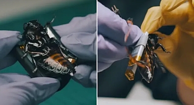 NATO'nun Yeni Casusları Belli Oldu