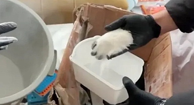 Polis Uyuşturucuya Geçit Vermiyor