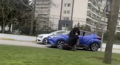  Trafikte yol kavgası: İki kadın sürücü birbirine girdi