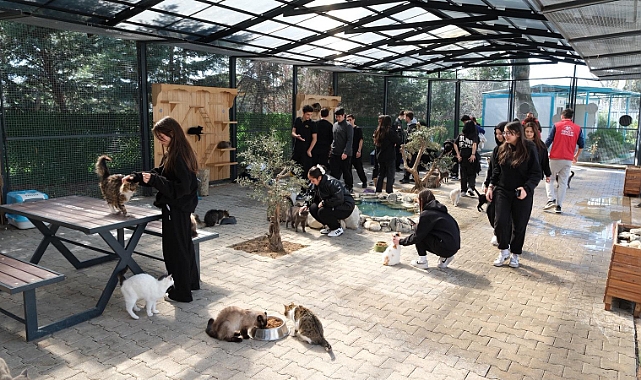 Yıldırım Belediyesi Cumalıkızık Sahipsiz Hayvan Bakımevi Gençleri Ağırladı
