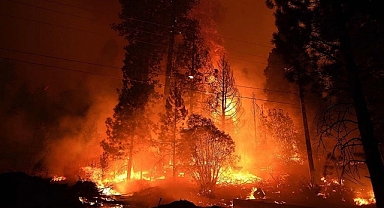 ABD Georgia’da orman yangını felaketi: Yüzlerce ev zarar gördü