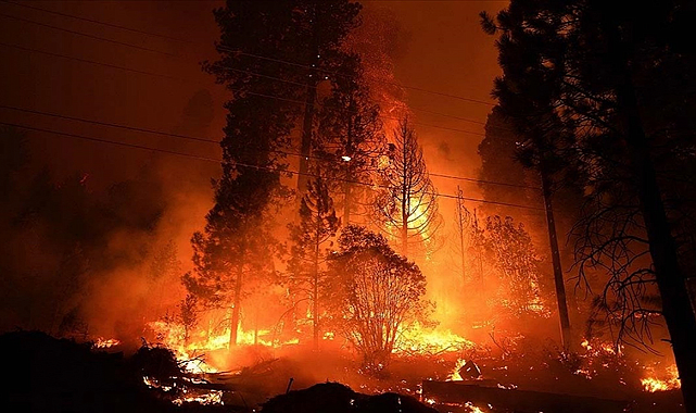 ABD Georgia’da orman yangını felaketi: Yüzlerce ev zarar gördü