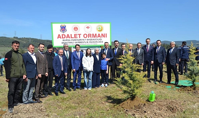 Bursa’da Şehit Cengiz Yiğit Adına Hatıra Ormanı Oluşturuldu