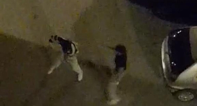 Bursa’da Sokak Ortasında Dakikalarca Süren Kavga