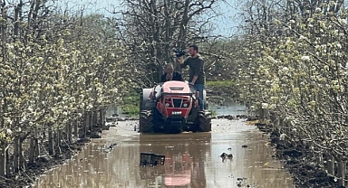 Bursa Gürsu’da Şeftali ve Armut Bahçeleri Sular Altında: Çiftçi Zor Durumda