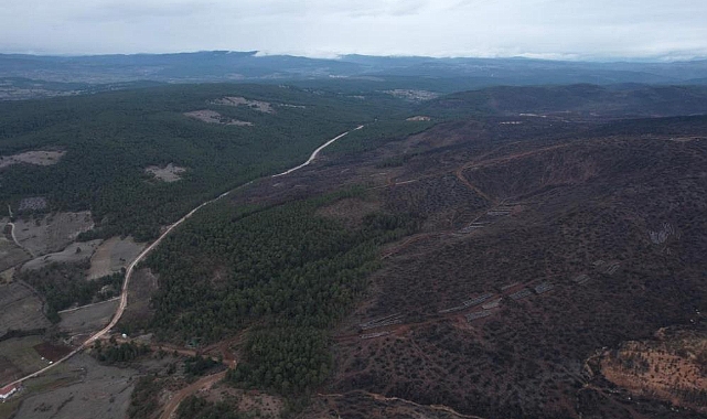 Bursa Harmancık Yangını Sonrası Ağaçlandırma Seferberliği