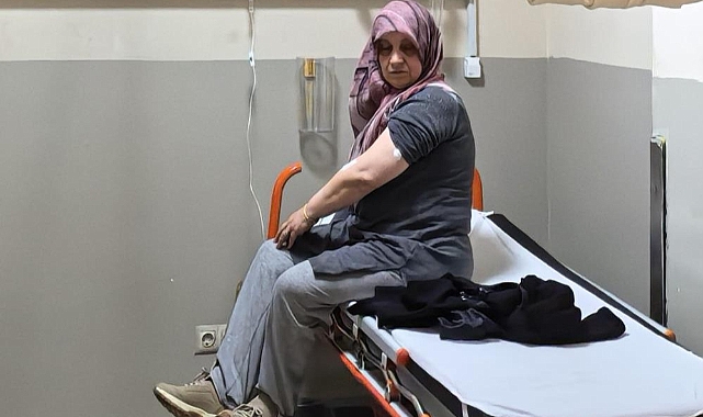 İnegöl’de Akrep Sokması: 53 Yaşındaki Kadın Hastaneye Kaldırıldı