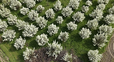 İnegöl’de Bahar Güzelliği