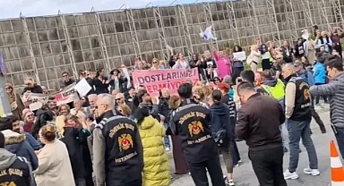 İstanbul İl Hayvanları Koruma Kurulu Toplantısında Tartışmalı Maddeler Gündemden Çıkarıldı