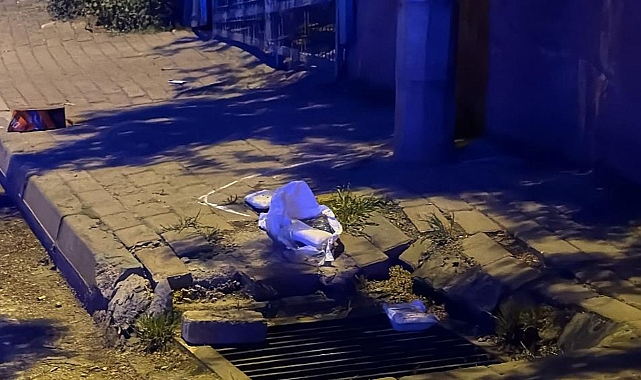 Orhangazi'de Silahlı Kavga: 2 Ölü, 1 Yaralı