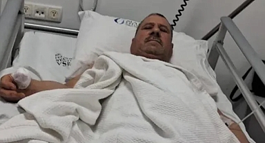 Sahipsiz Köpek Bir Kişinin Parmağını Yedi