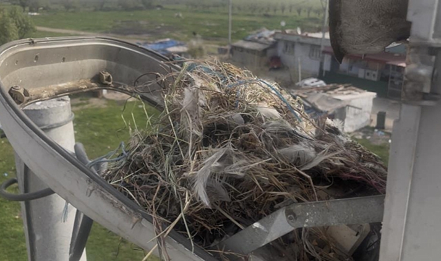 UEDAŞ’tan Bursa’da Doğaya Duyarlı Müdahale: Kuş Yuvası Korundu