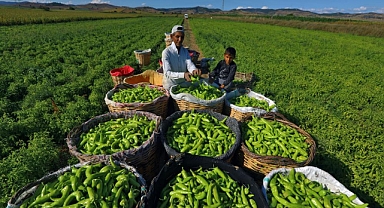 Yenişehir Tarım ve Sanayiyle Büyüyor: Ercan Özel’den Ticaret Merkezi Vurgusu