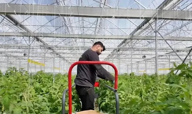 Zonguldak Çaycuma Sera OTB Üretime Başladı