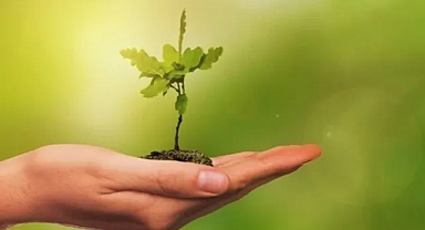 COP31 Kapsamında Türkiye’de Çevre ve İklim Medya Turu Düzenleniyor