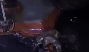 Gemlik’te Su Samurlarının Balık Ziyafeti Kamerada