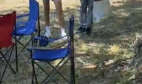 İznik’te Sarı Yılan Paniği