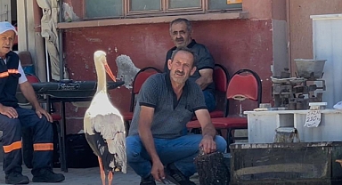 Bursa’da 10 Yıldır Balıkçı Ahmet Yılmaz’ı Bekleyen Leylek Görenleri Şaşırtıyor