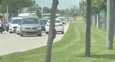 Bursa’da Ters Yönde Giden Otomobil Trafiği Birbirine Kattı 