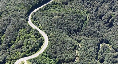 Bursa ormanlarında kartpostallık görüntüler