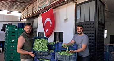 İznik Boyalıca’da Nazende Fasulyesinde İlk Hasat Yapıldı 