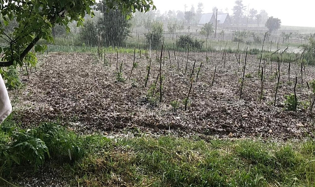 Keles’te Dolu Yağışı Tarım Arazilerine Zarar Verdi! Tarlalar Beyaza Büründü