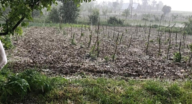 Keles’te Dolu Yağışı Tarım Arazilerine Zarar Verdi! Tarlalar Beyaza Büründü