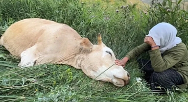 200 Metrelik Uçurumdan Düştü! Ailenin Tek Geçim Kaynağı Telef Oldu