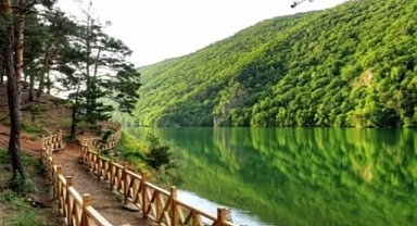 Amasya’da Ormanlara Giriş Yasaklandı! Valilikten Yangın Alarmı