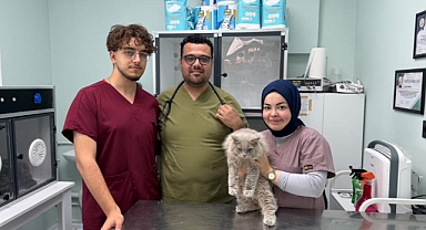 Bursa'da Kısırlaştırılacak Kedi Veteriner Kliniğini Birbirine Kattı